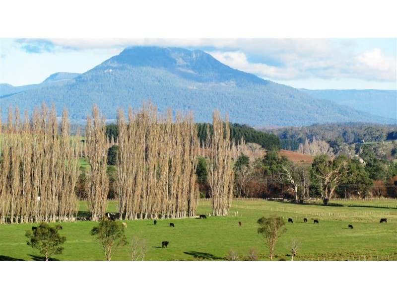 173 River Road, Deloraine TAS 7304
