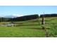 173 River Road, Deloraine TAS 7304