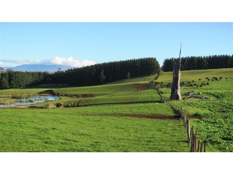 173 River Road, Deloraine TAS 7304