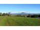 173 River Road, Deloraine TAS 7304