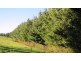 173 River Road, Deloraine TAS 7304