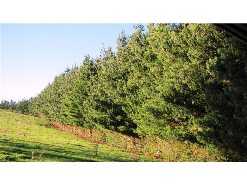 173 River Road, Deloraine TAS 7304