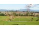 173 River Road, Deloraine TAS 7304