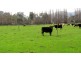 7 Moores Road, Lachlan TAS 7140
