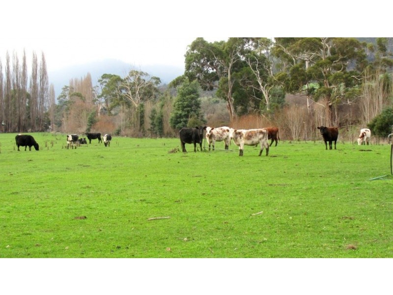 7 Moores Road, Lachlan TAS 7140
