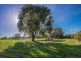 1530 Bridport Road, Bridport TAS 7262