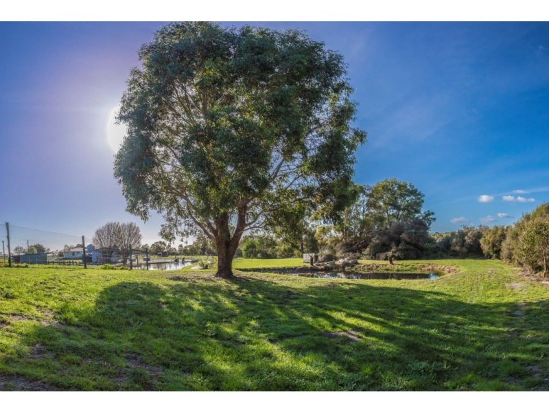 1530 Bridport Road, Bridport TAS 7262