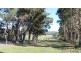 403 Greens Beach Road, Beaconsfield TAS 7270