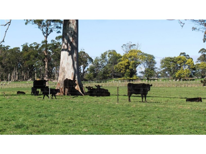 89 Oaks Road, Carrick TAS 7291