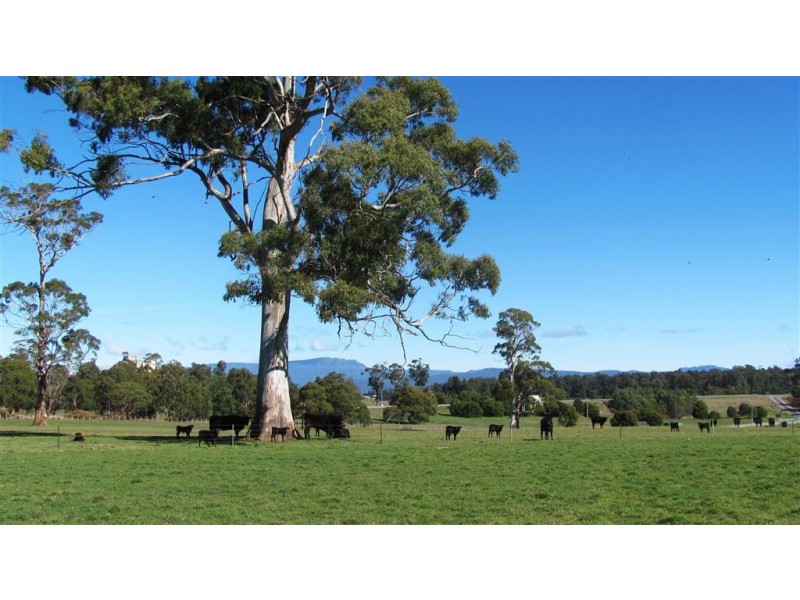 89 Oaks Road, Carrick TAS 7291