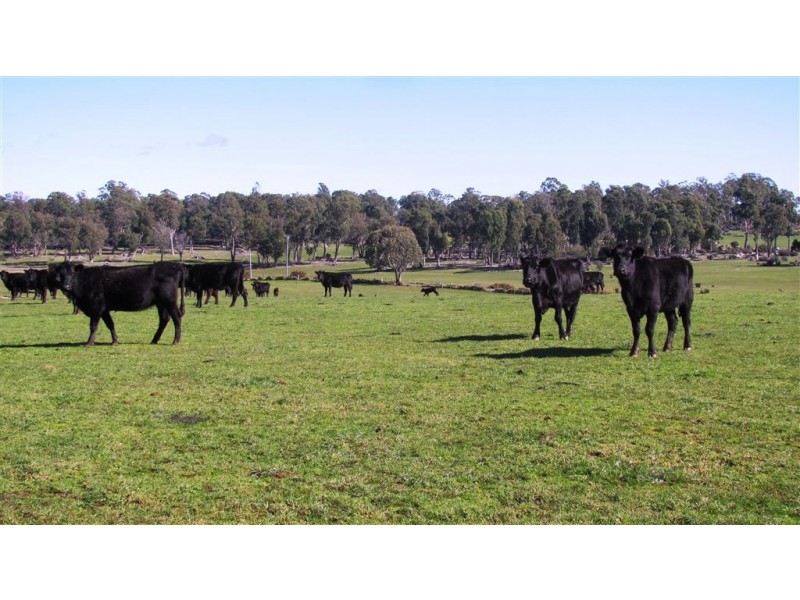 89 Oaks Road, Carrick TAS 7291