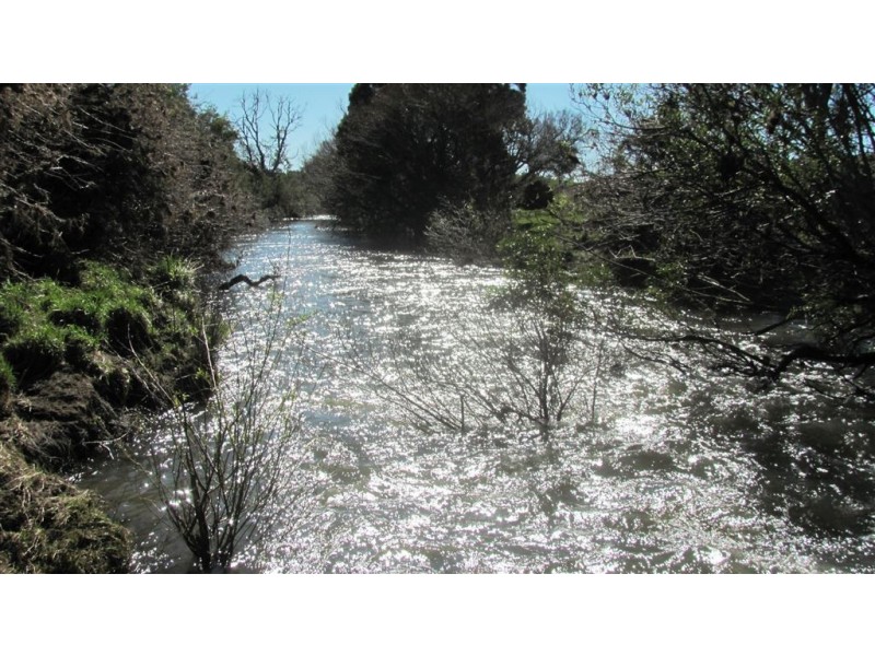 89 Oaks Road, Carrick TAS 7291