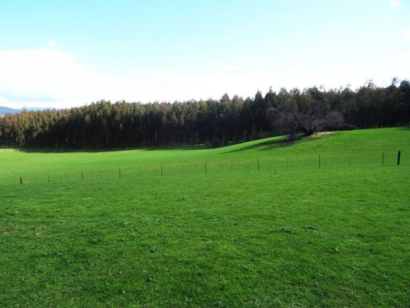 100 Deviation Road, Westbury TAS 7303