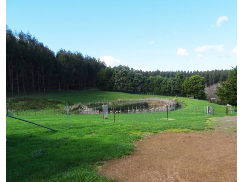 100 Deviation Road, Westbury TAS 7303