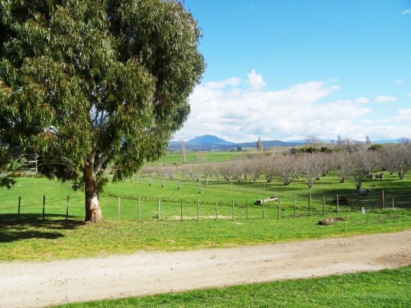 100 Deviation Road, Westbury TAS 7303