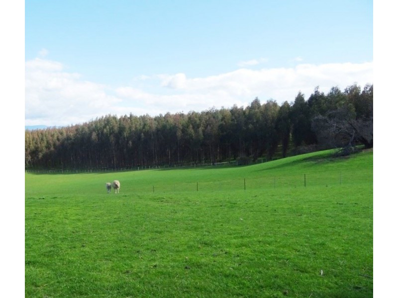 100 Deviation Road, Westbury TAS 7303