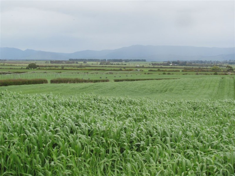 340 Green Rises Road, Cressy TAS 7302