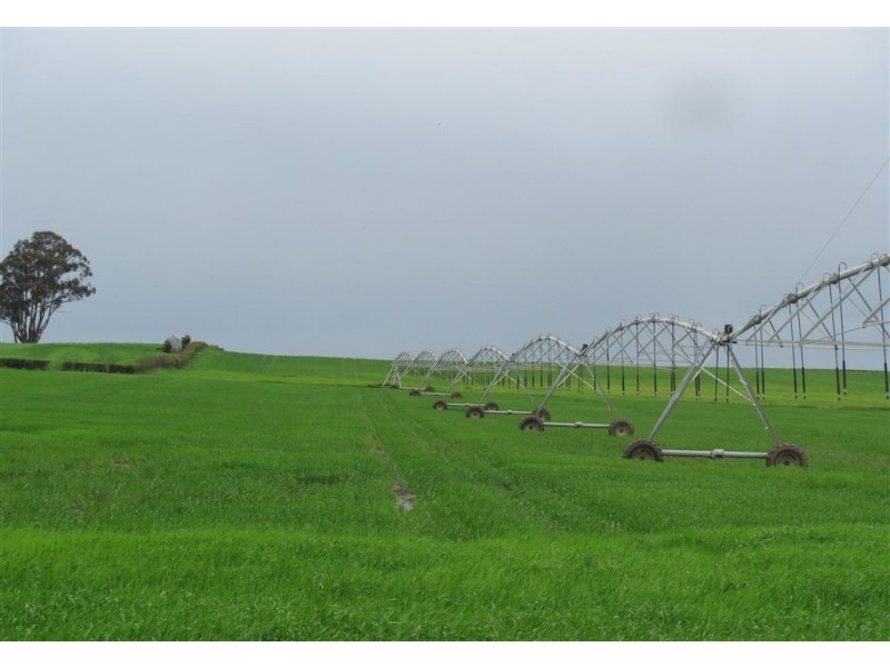 340 Green Rises Road, Cressy TAS 7302