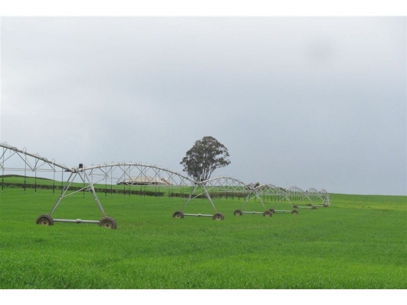 340 Green Rises Road, Cressy TAS 7302