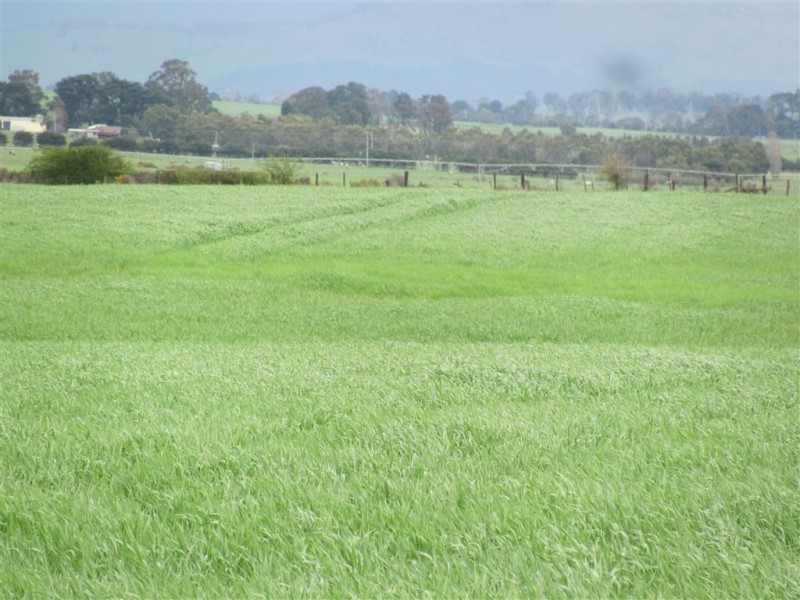 340 Green Rises Road, Cressy TAS 7302