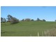 39678 Tasman Highway, Nunamara TAS 7259