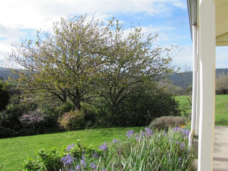 39678 Tasman Highway, Nunamara TAS 7259