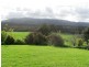 39678 Tasman Highway, Nunamara TAS 7259