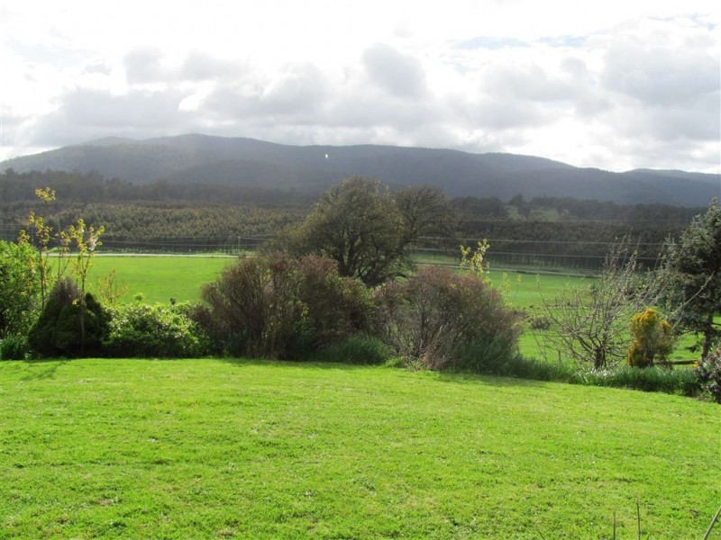 39678 Tasman Highway, Nunamara TAS 7259