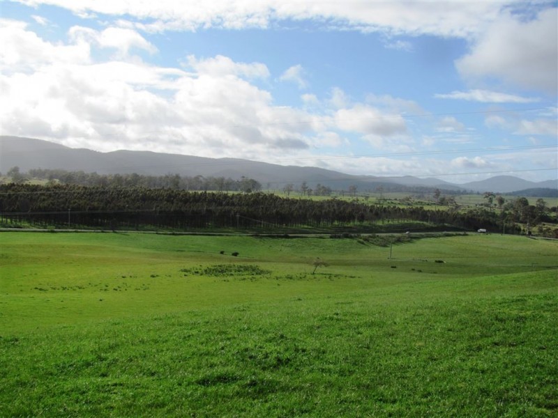 39678 Tasman Highway, Nunamara TAS 7259