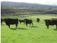39678 Tasman Highway, Nunamara TAS 7259