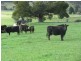 39678 Tasman Highway, Nunamara TAS 7259