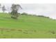 39678 Tasman Highway, Nunamara TAS 7259