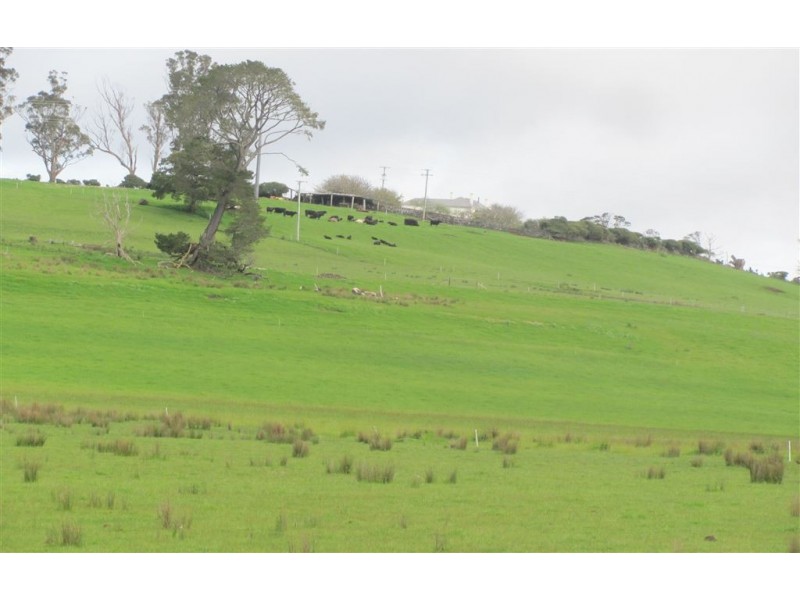 39678 Tasman Highway, Nunamara TAS 7259