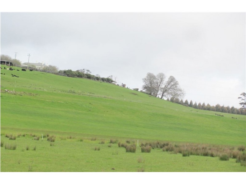 39678 Tasman Highway, Nunamara TAS 7259