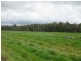 156 Champions Road, Scotchtown TAS 7330