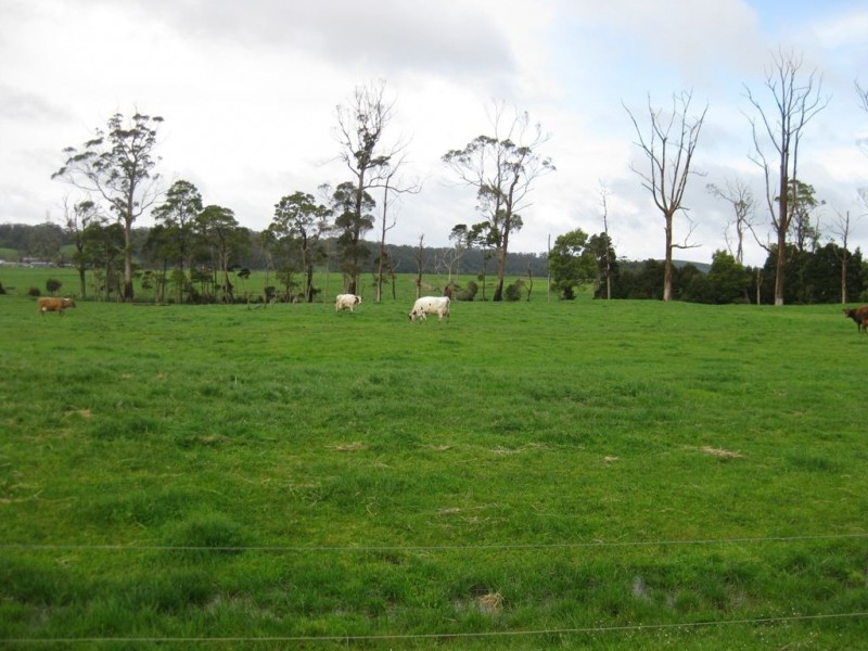 156 Champions Road, Scotchtown TAS 7330