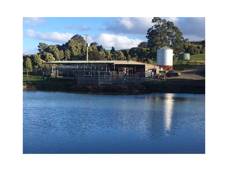 1161 Mount Hicks Road, Mount Hicks TAS 7325