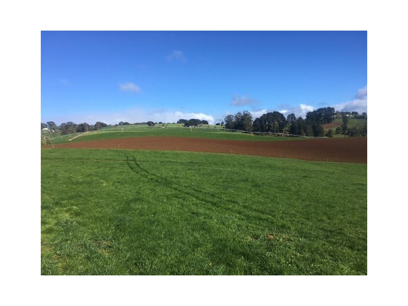 1161 Mount Hicks Road, Mount Hicks TAS 7325