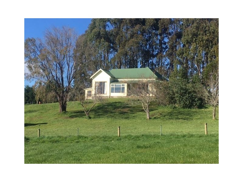1161 Mount Hicks Road, Mount Hicks TAS 7325