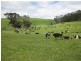 409 Comeback Road, Marrawah TAS 7330