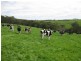 409 Comeback Road, Marrawah TAS 7330