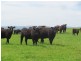 - Auburn Road, Ross TAS 7209