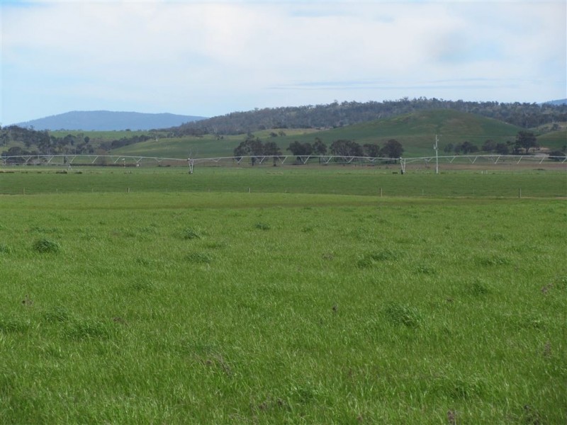 - Auburn Road, Ross TAS 7209