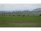 - Auburn Road, Ross TAS 7209