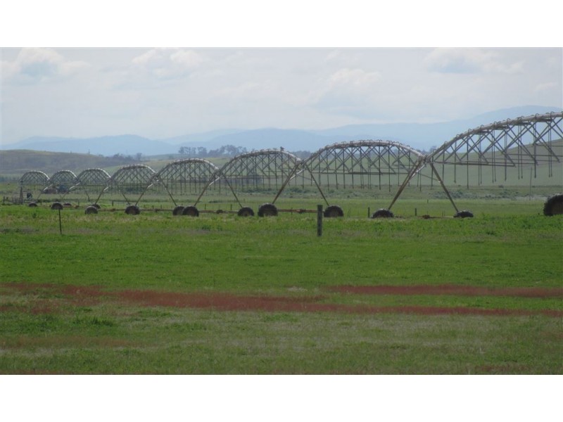- Auburn Road, Ross TAS 7209