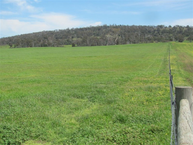 - Auburn Road, Ross TAS 7209