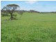 - Auburn Road, Ross TAS 7209