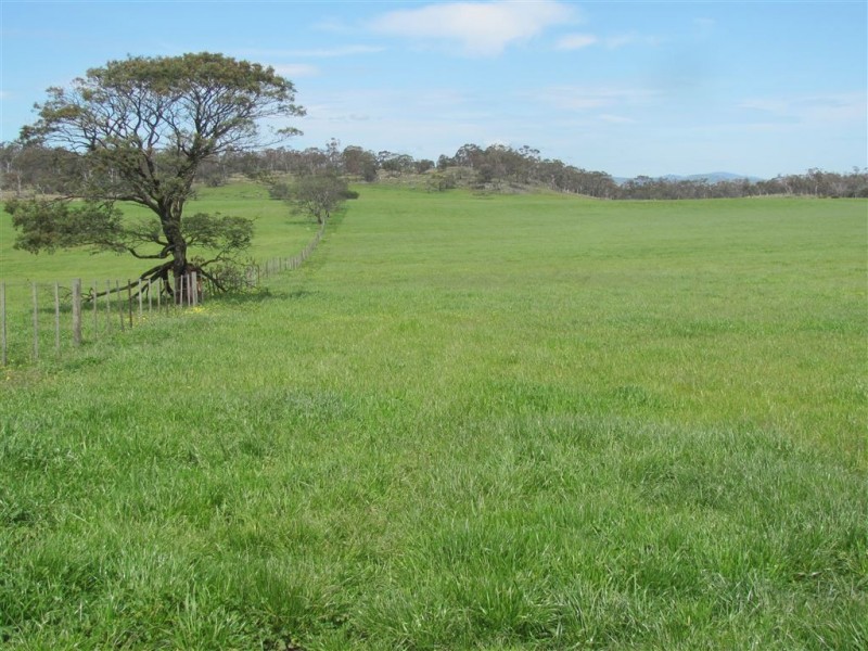 - Auburn Road, Ross TAS 7209