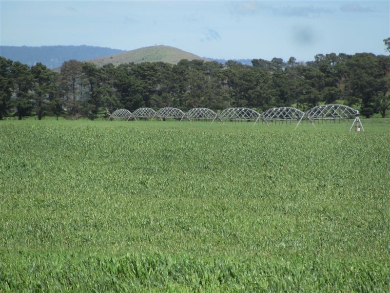 - Auburn Road, Ross TAS 7209