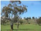 - Auburn Road, Ross TAS 7209
